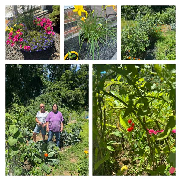 image of a garden